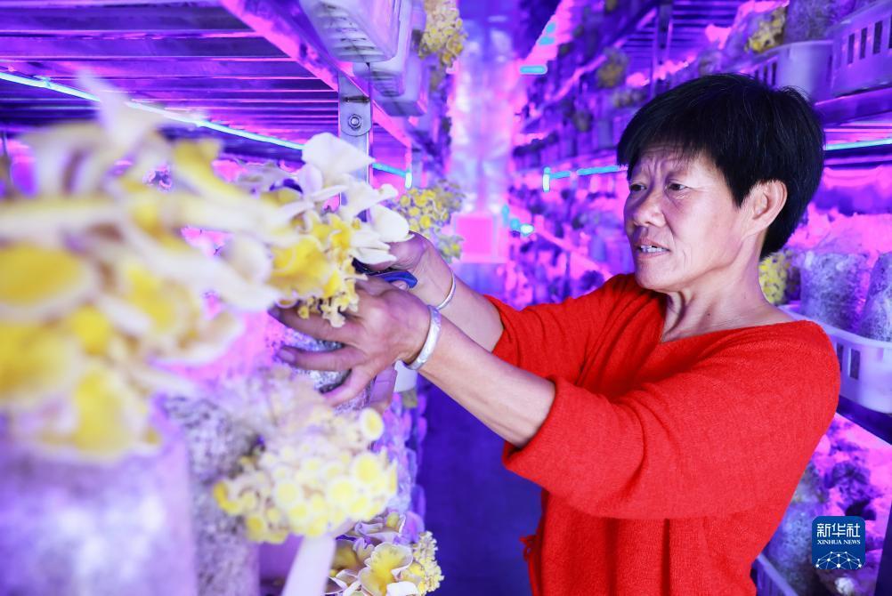 百老汇平台游戏
